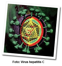 gTt: La noticia del día - Virus Hepatitis C